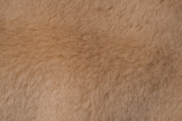 Close up view of soft warm fluffy light brown natural animal fur texture material background © reddish