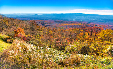 栃木県那須郡那須町　那須高原展望台から見る秋の紅葉に染まる那須高原の風景