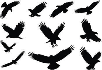 Obraz premium Eagle and hawk silhouettes set, flying raptor birds of prey collection, black vector illustration isolated for wildlife design