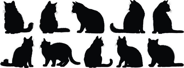 Cat silhouettes vector collection, cute kitten poses set, pet animal icons isolated, black feline clipart bundle pack design © Mst
