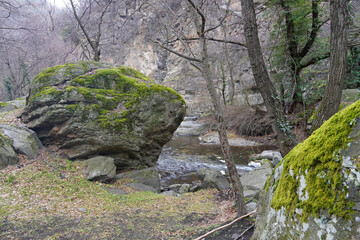 Picturesque natural landscape in the forest Large stone covered with green moss Shallow mountain river Dry leaves Rocky slope Cold season Autumn Winter Nature Tourism