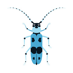 alpine barbel beetle isolated