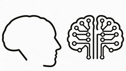 Human head and brain circuit diagram