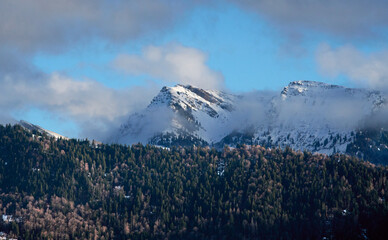 Winter landscape at the foot of the Nagelfluhkette with the snow-covered Hochgrat peak above Steibis near Oberstaufen in the Allg&auml;u region of Bavaria, Germany, under soft afternoon light.
