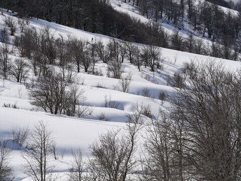 Corse - Val d'Ese - Randonn&eacute;e neige