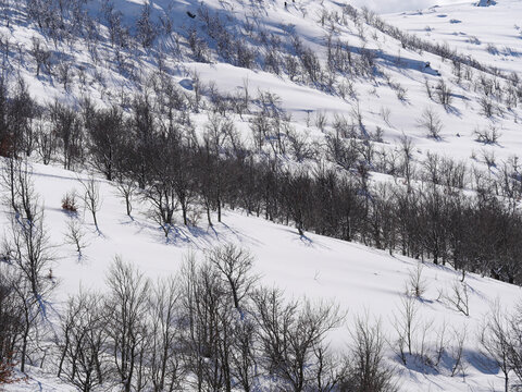 Corse - Val d'Ese - Randonn&eacute;e neige