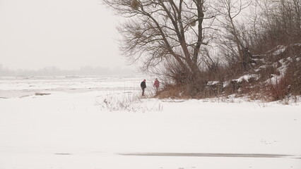 Krajobraz zimowy w lesie. Warstwa śniegu leżąca na runie leśnym. Ośnieżone konary drzew. © tomo81