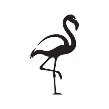  Flamingo Silhouette Vector Illustration Standing on One Leg