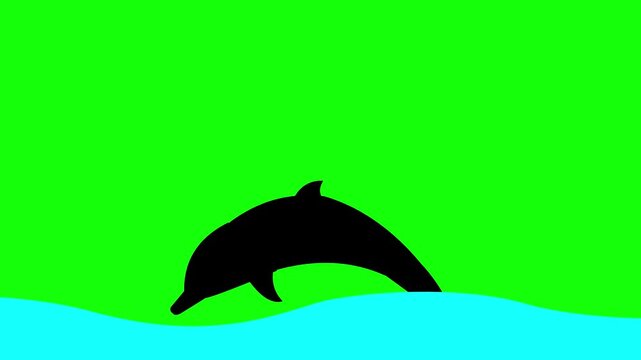 Dolphin silhouette jumping animation on green screen