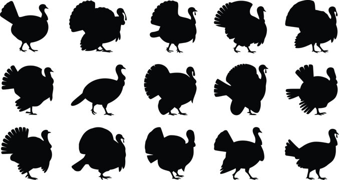 Various poses of black turkey silhouettes create a distinct pattern on a simple white isolated background for versatility