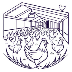 Chickens in a fenced outdoor enclosure with a covered area © md razab 1122