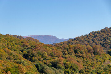 Fototapeta premium Beautiful autumn in the mountain forest. Autumn mountain trees in autumn landscapes. Top view of the autumn mountain forest. Mountain forest in autumn. Autumn mountain forest.