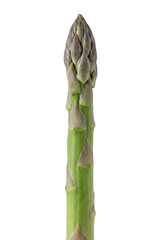 Green asparagus spear tip isolated. Fresh vegetable ingredient.