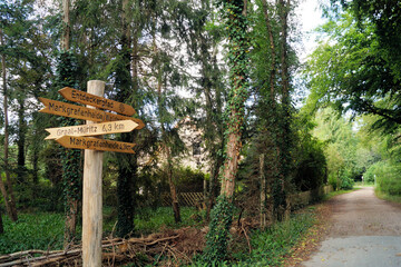 Waldweg mit Wegweiser