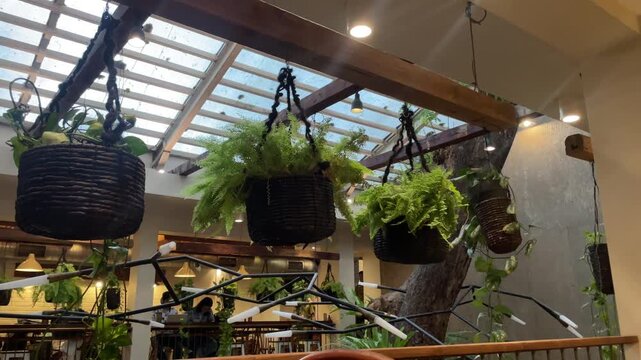Hanging Indoor Plants Cafe Interior Design with Natural Light and Wood Beams