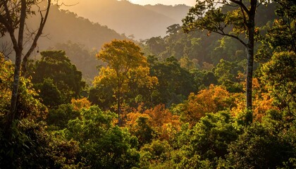 A vibrant landscape of trees basking in golden sunlight, creating a textured gradient