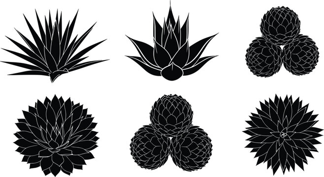 Set of black agave and succulent plant silhouettes including agave tequilana blue agave desert flora 