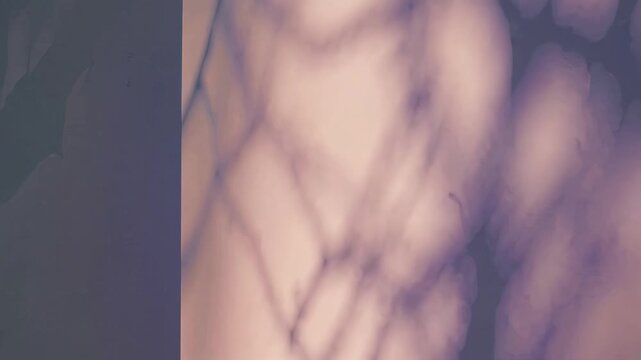 Abstract blurred shadows on a soft pastel background