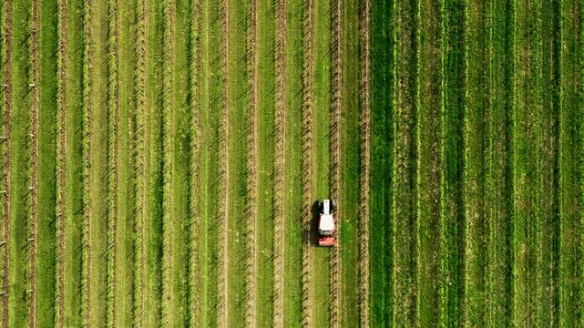 Drone aerial footage of a tractor cultivating agricultural field during farming season. Modern agriculture machinery working on farmland, preparing soil for planting.