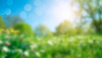 Obraz premium Sunny spring meadow blur background, blue sky and green grass
