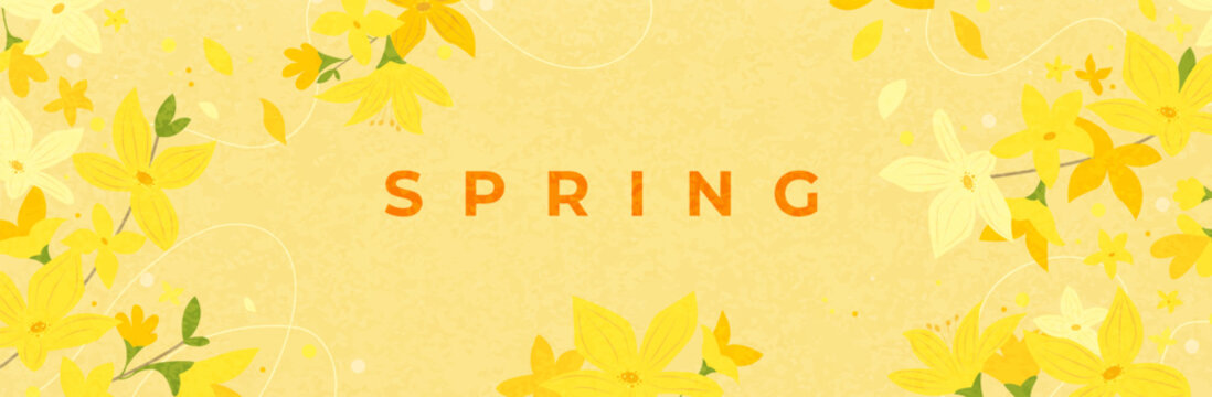 Spring bright horizontal banner with cute yellow forsythia. Textured spring greeting card, poster with beautiful flowers. Hand drawn floral decorative elements. Elegant botanical design. Vector