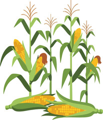 Vibrant Cornfield Illustration Featuring Ripe Ears of Corn Ready for Harvest, Symbolizing Agriculture and Abundance