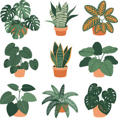Hand Drawn House Plants Top View Vector Set with Monstera, Philodendron, Snake Plant, Fern, and Succulents © NUR