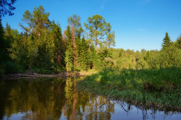 Daytime landscape on a river in the middle of a forest.