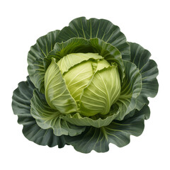 Fototapeta premium Fresh green cabbage vegetable whole head with leaves isolated on transparent background