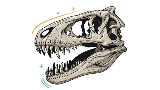 Detailed illustration of a Tyrannosaurus Rex skull with sharp teeth and fossilized features surrounded by simple decorative design elements.