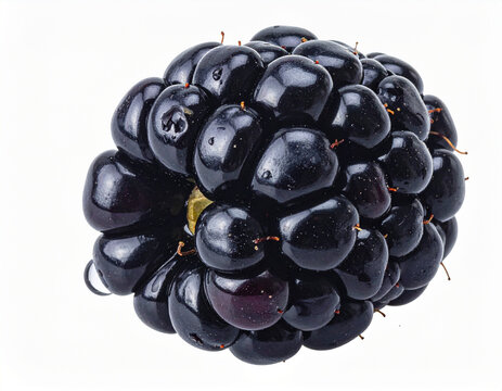 Brombeere
