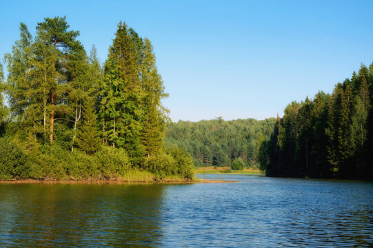 Daytime landscape on a river in the middle of a forest.