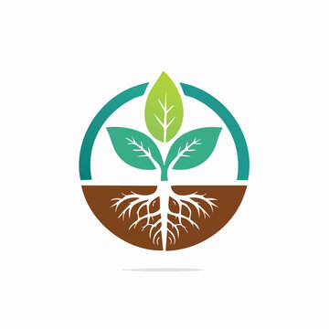 Green leaf plant with roots and circular frame, symbol of growth and nature