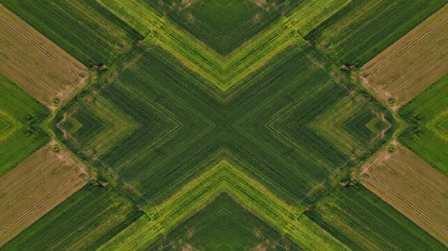 Abstract geometric pattern of nature. Mirrored aerial view of green and brown farm fields forming an X shape. Use for motion backgrounds or environmental projects.
