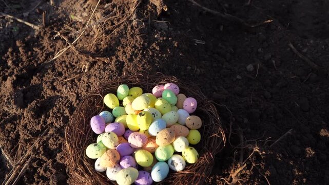 Multi-colored Easter eggs in bird's nest on ground. Straw, twig bird nest with egg. Easter Christian holiday, celebrates belief in resurrection of Jesus Christ. Quail colored eggs on sunset.