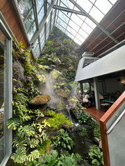 modern architecture in the garden