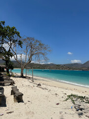 tropical beach with palm trees