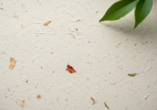 Close up of textured handmade paper with flecks and a single green leaf