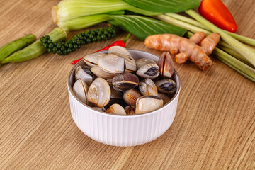 Raw fresh wild clams mollusc © Andrei Starostin