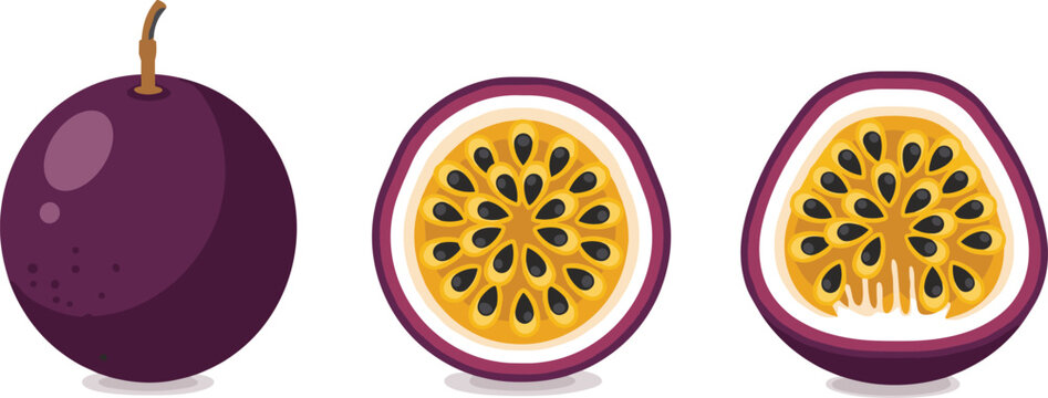 Passion Fruit Vector Set with Whole and Halved Tropical Maracuya Fresh Exotic Organic Fruit for Healthy Juice and Dessert Design.