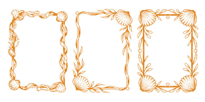 Elegant hand-drawn, coastal frames with seashells and ocean flora, detailed marine illustrations, artistic botanical elements, and seaside inspired decorative borders for creative design projects.