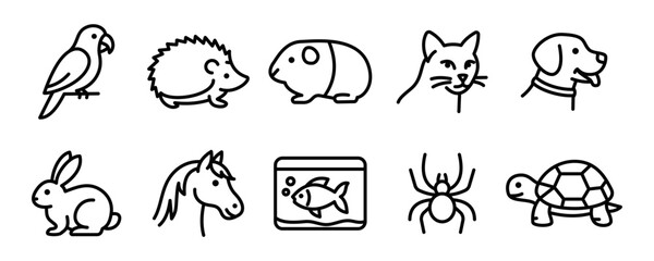 Line art icons of various pets: bird, hedgehog, guinea pig, cat, dog, rabbit, horse, fish, spider, turtle.