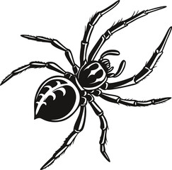 Realistic Black and White Garden Spider Silhouette with Detailed Markings Vector