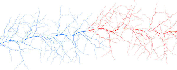 Obraz premium Blood Vessels Imaging Veins Vascular System Bloodstream Venous Pattern, Red Human Cardiovascular Anatomy Dynamic Stream, Medical Science Graphics, Abstract Circulation Concept. Vector Illustration