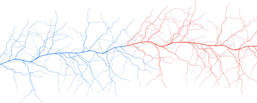 Blood Vessels Imaging Veins Vascular System Bloodstream Venous Pattern, Red Human Cardiovascular Anatomy Dynamic Stream, Medical Science Graphics, Abstract Circulation Concept. Vector Illustration