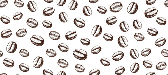 Coffee beans hand drawn on white
