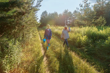 Obraz premium Two people enjoy a sunny day walking on a path through a green forest in the late afternoon