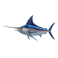 Fototapeta premium Blue Marlin Fish Isolated on Transparent Background – Realistic Sailfish Marine Predator, Ocean Wildlife Design Element