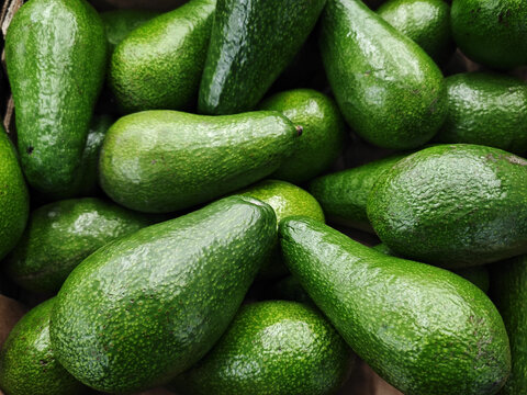 Vibrant green avocados background