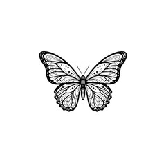 Obraz premium Intricate Black and White Butterfly Line Art Illustration